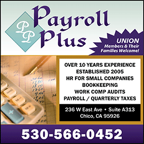 Payroll Plus - Dolly Wendel